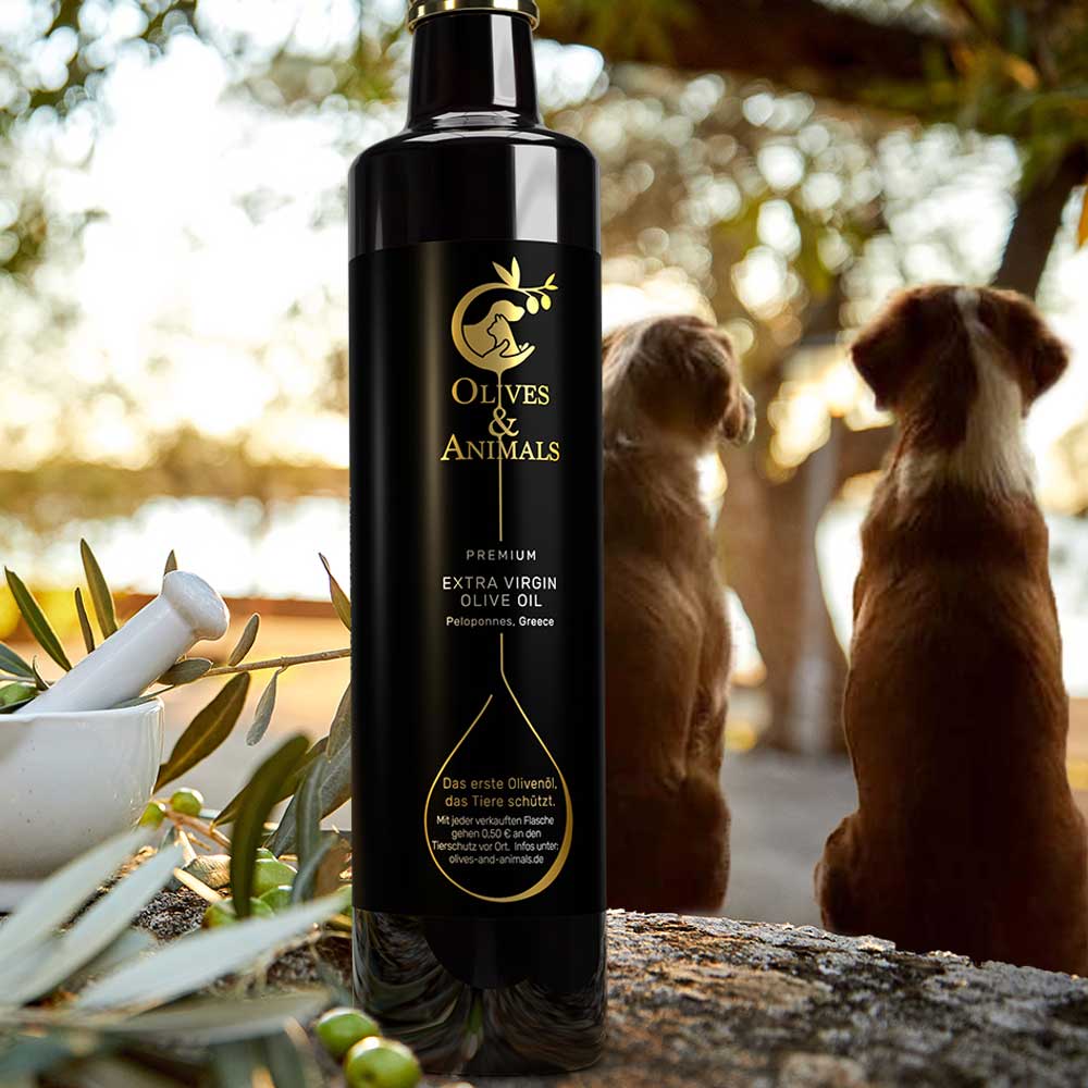 fusion Transcend pistol Olivenöl aus Griechenland plus Tierschutz– jetzt 30% sparen! – Olives and  Animals
